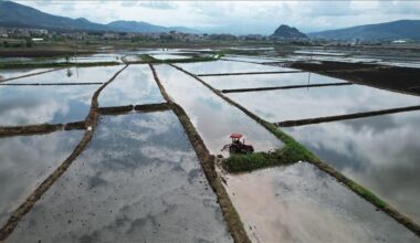 South Korea, China, Japan revive trilateral mechanism in agriculture, farming