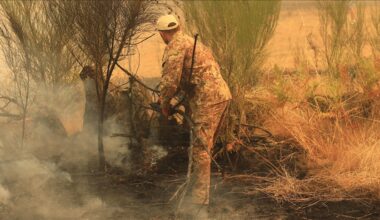 Wildfires continue at over 51 locations across Spain