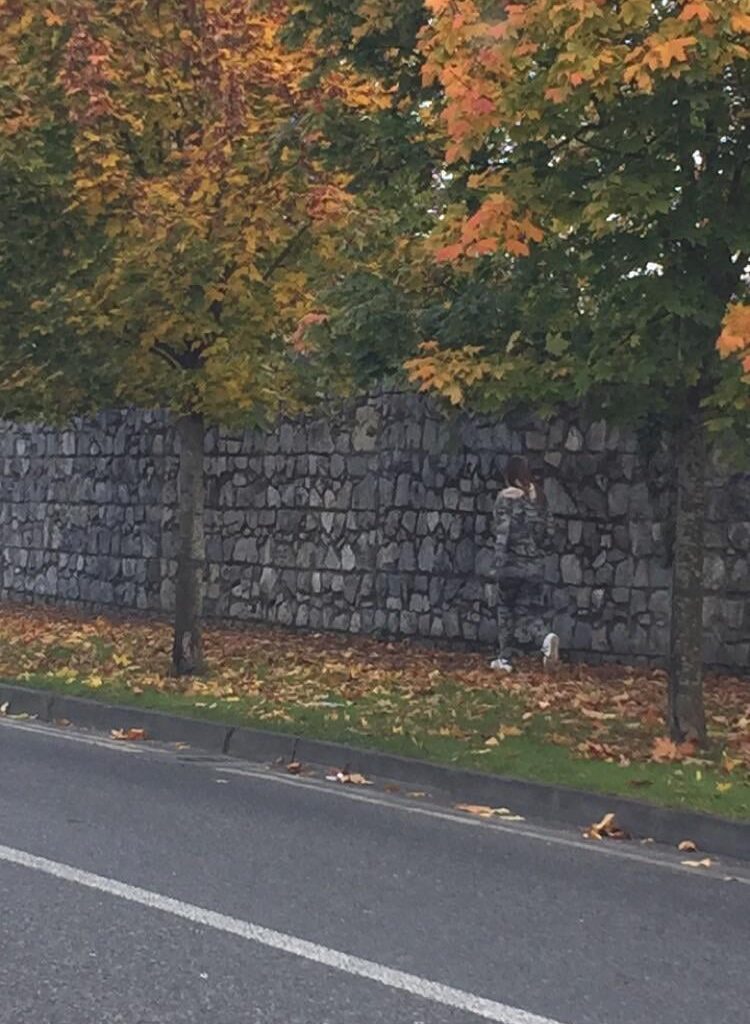 Accidental Camo