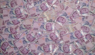 200 Turkish lira bills scattered on the table as a background in Gaziveren, Turkish Cyprus on January,  27, 2024. (Adobe Stock Photo)