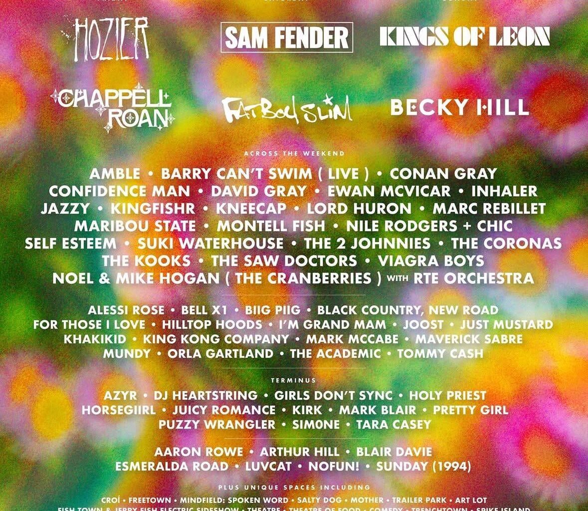 Electric Picnic 2025