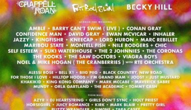 Electric Picnic 2025