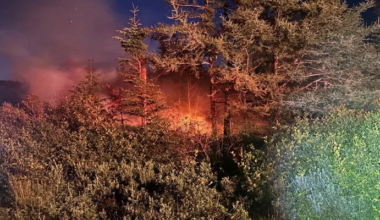 Twillingate RCMP Investigating Fire Near Little Harbour