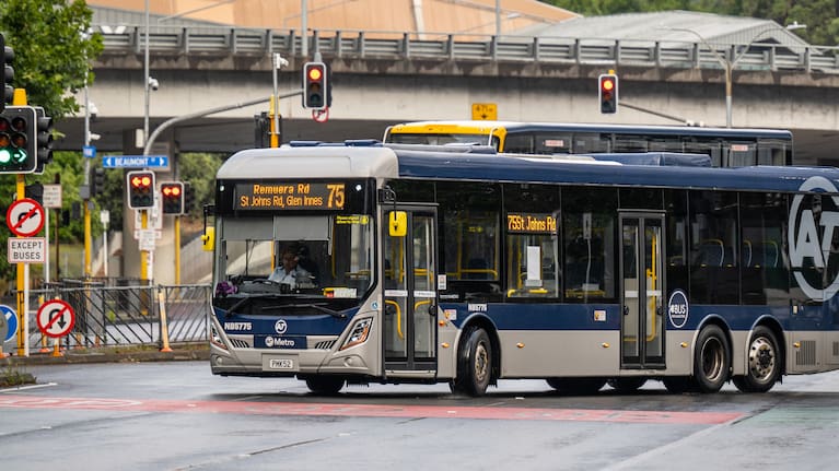 Two Auckland buses (file image).