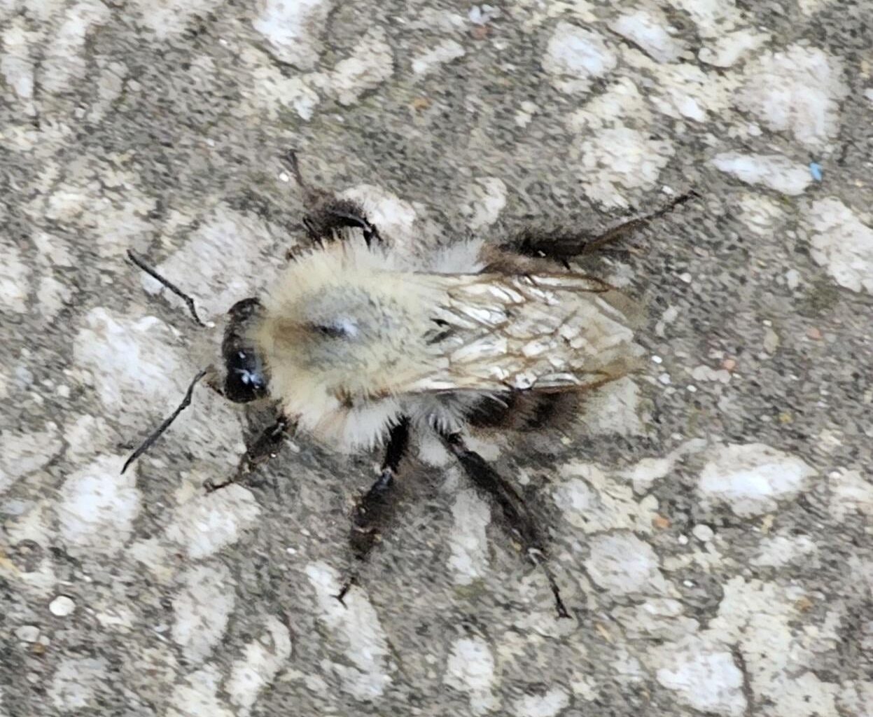 Was besucht mich hier 🤔