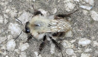 Was besucht mich hier 🤔