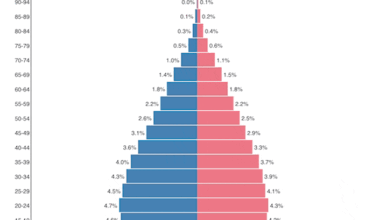 Age Distribution for the 10 Largest Countries [OC]