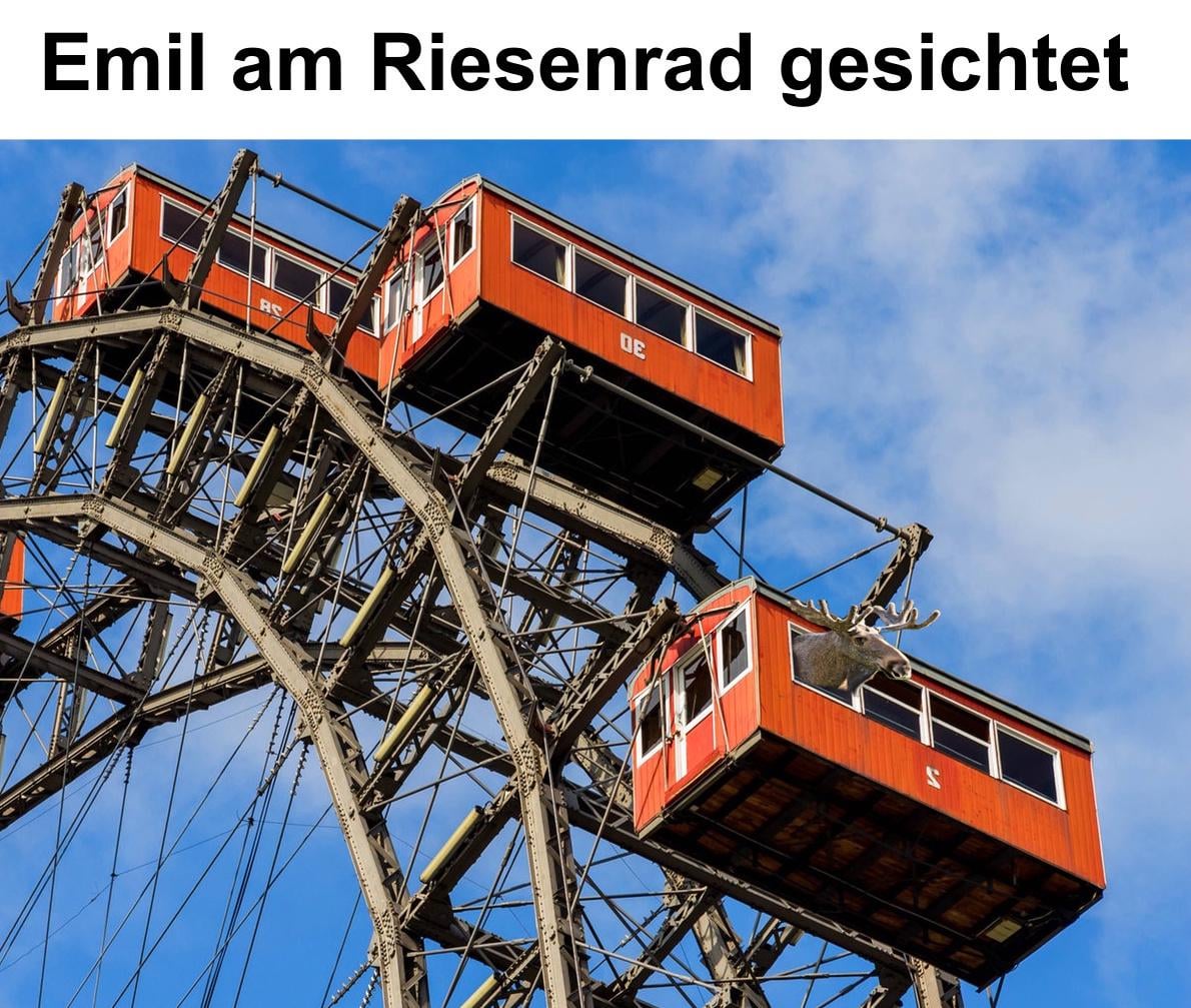 Breaking: Elch Emil im Prater!