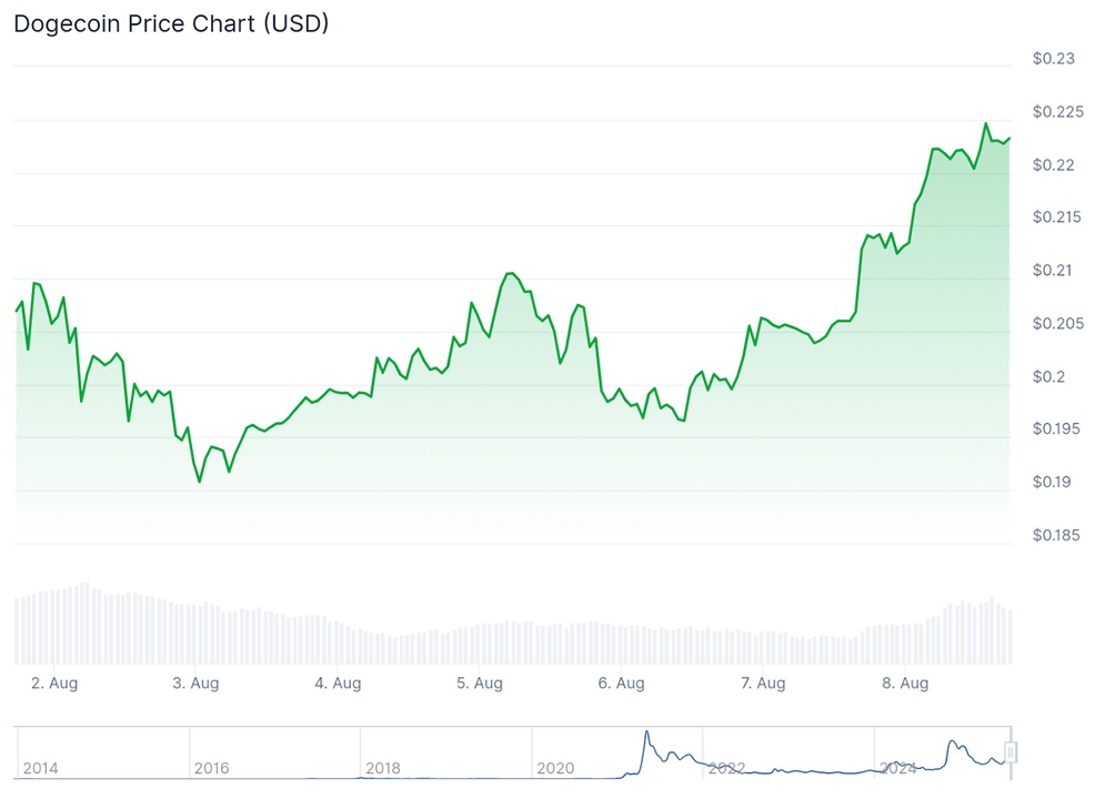 Doge/USDT - 1-year overview