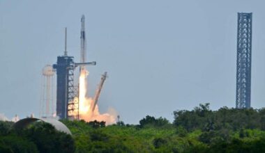 Could launching seeds into space breed hardier plants in Florida?