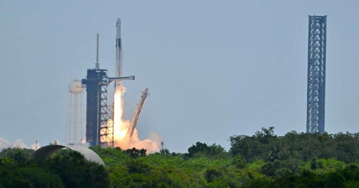 Could launching seeds into space breed hardier plants in Florida?