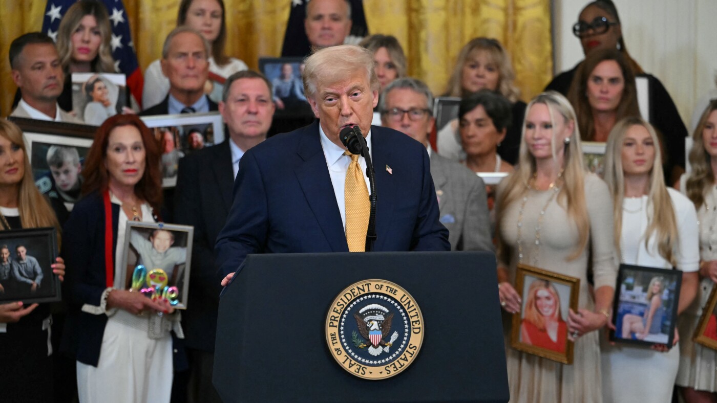 As drug deaths hit five-year low, Trump continues to cite fentanyl as major threat : NPR
