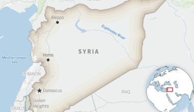 Footage from Syria shows killing of doctor in Sweida hospital