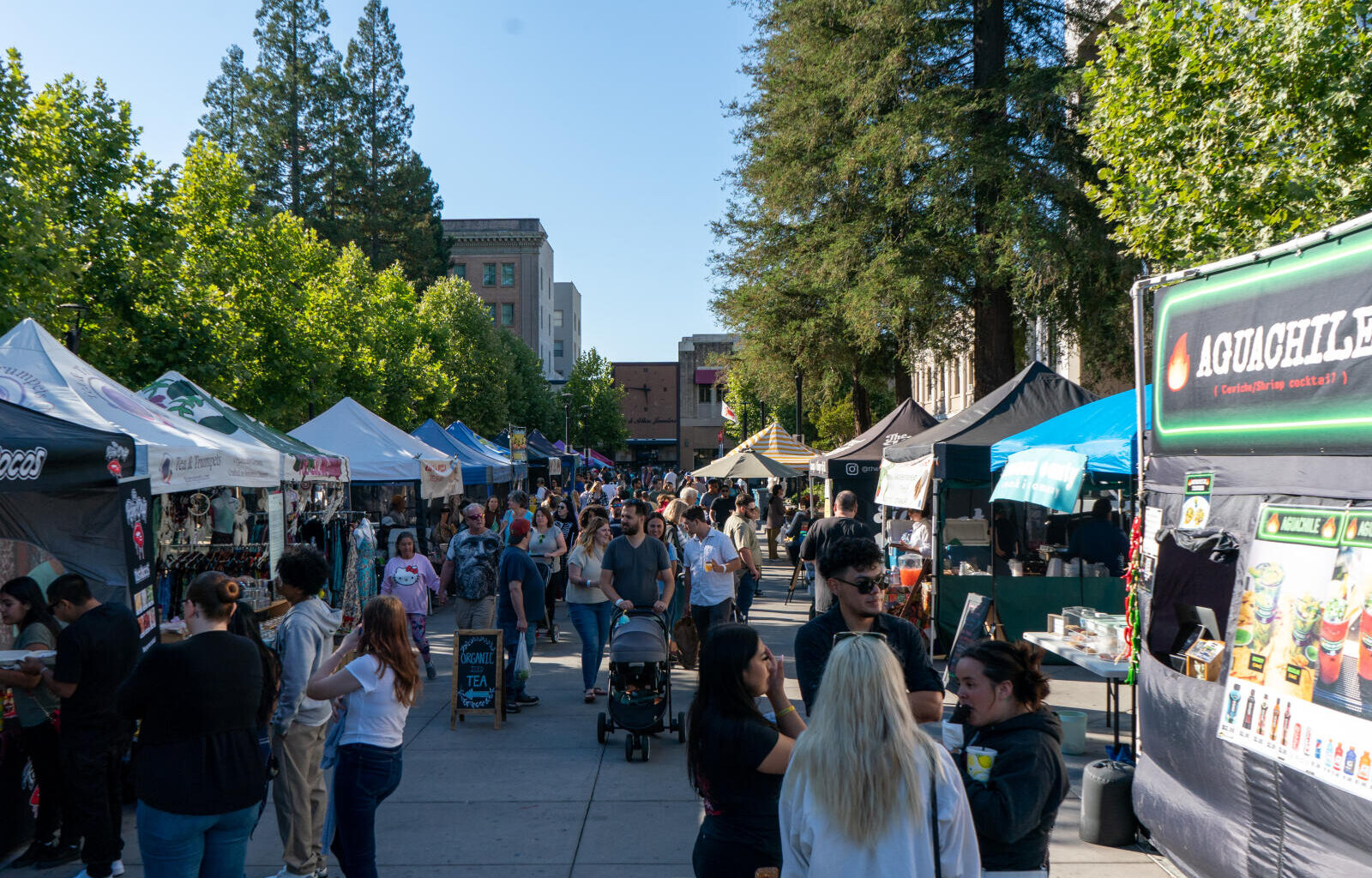 Santa Rosa eyes proposal to allow public drinking downtown in ‘entertainment zones’