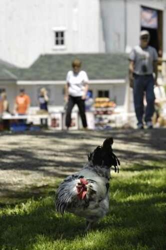 Primrose Farm offers new science education opportunities