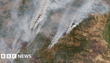 Spain and Portugal wildfires drive worst EU season on record, with roughly 1% of the entire Iberian Peninsula scorched.