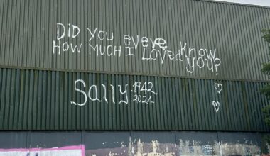 I wonder what the story is here? Does anyone know?