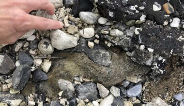 Hvordan stopper man casual dumping af bunkerolie