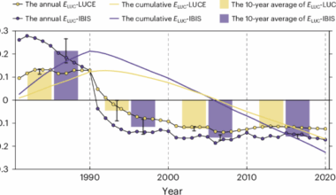 China's reforestation efforts have sequestered 7 billion tons CO2 over the last 40 years