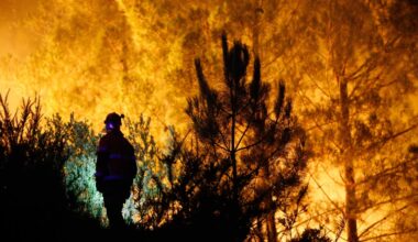 nuevo fuego declarado en Asturias, mientras el viento complica los trabajos de extinción