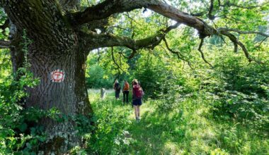 Via Transilvanica to apply for official status after Romanian Govt issues norms for national trails