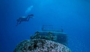 Vis island keeps revealing new archaeological treasures both on land and beneath the sea