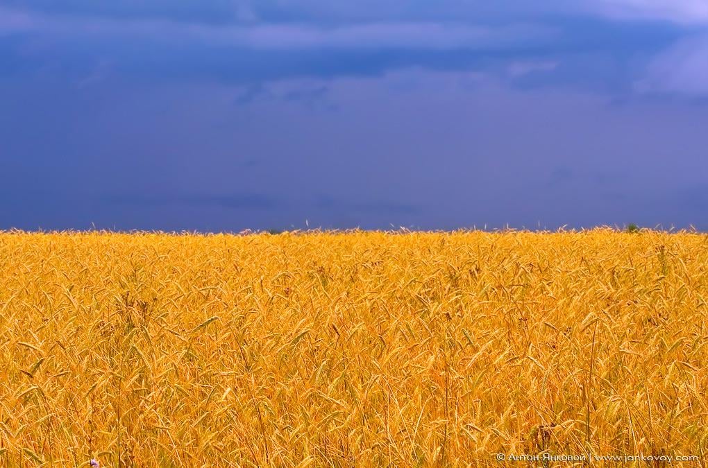 Ukraine's National Flag Day Today: Extra-realistic representaion