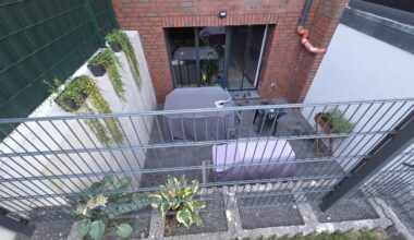 Ich habe ein Spinnen Problem