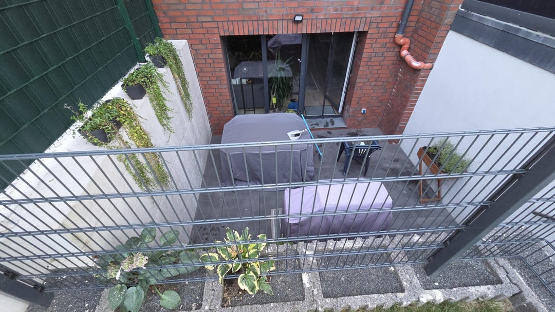 Ich habe ein Spinnen Problem