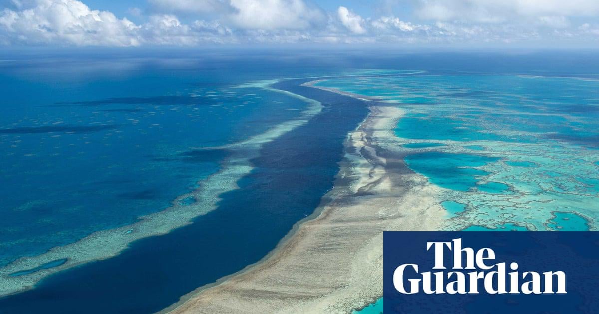 ‘If the reef had a voice, it would sing’: could legal personhood help the Great Barrier Reef? | Great Barrier Reef