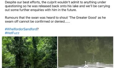 The greater good