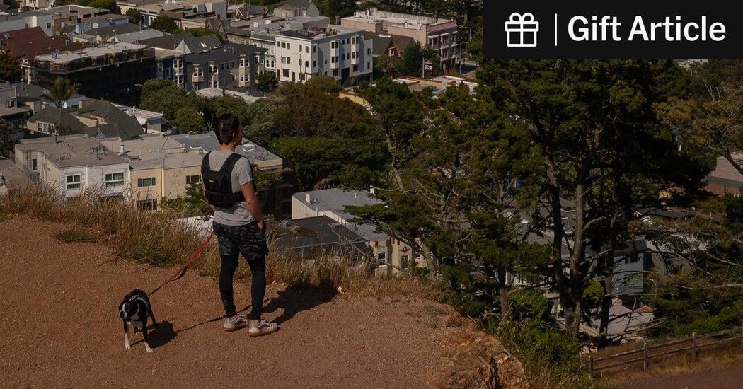 San Francisco Had Avoided Trump’s Ire. Until Now.