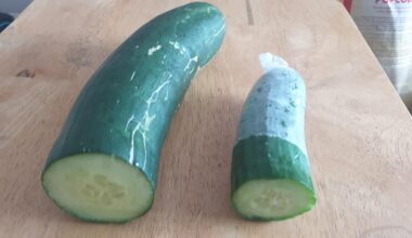 A supermarket cucumber compared to one from my garden