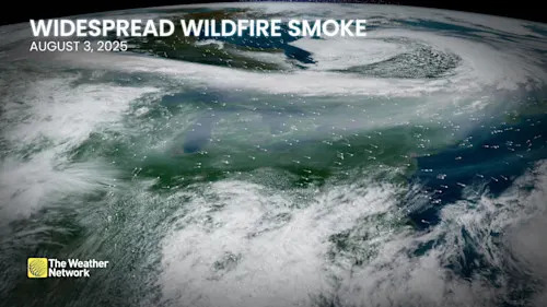 widespread wildfire smoke satellite August 3 2025