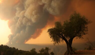 UK Experiences Hazy Skies as Wildfires in Spain and Portugal Spread
