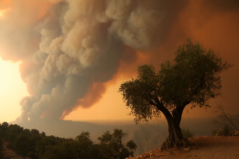 UK Experiences Hazy Skies as Wildfires in Spain and Portugal Spread
