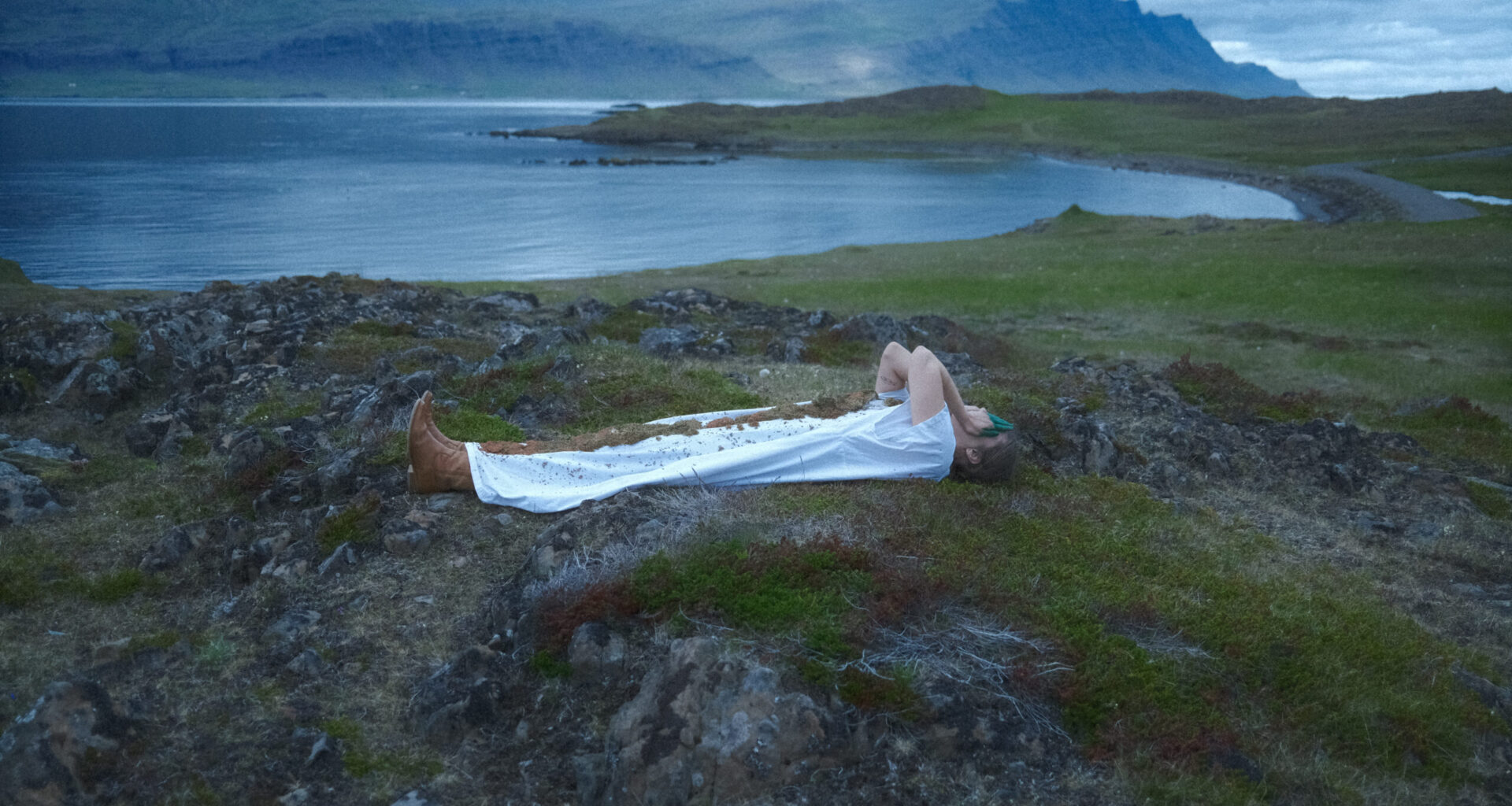 'In The Undergrowth' Rethinks Our Relationship To Nature
