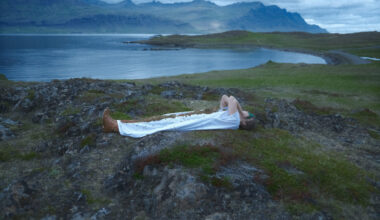 'In The Undergrowth' Rethinks Our Relationship To Nature