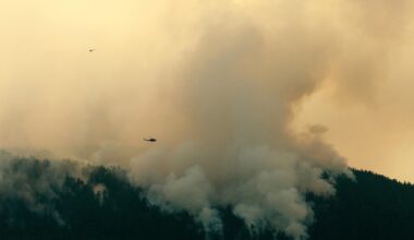 As Canada wildfires choke US with smoke, Republicans demand action. But not on climate change