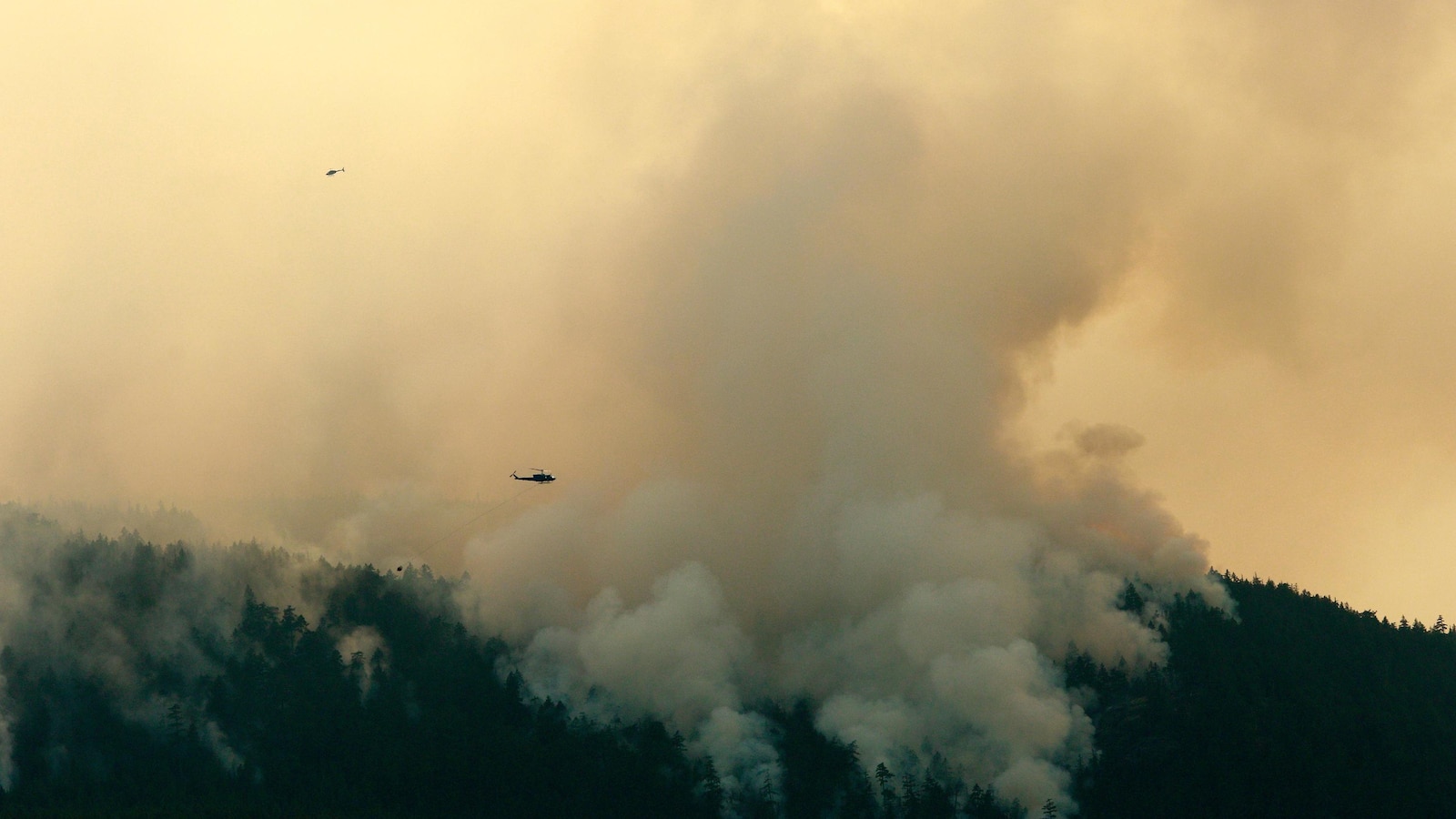 As Canada wildfires choke US with smoke, Republicans demand action. But not on climate change
