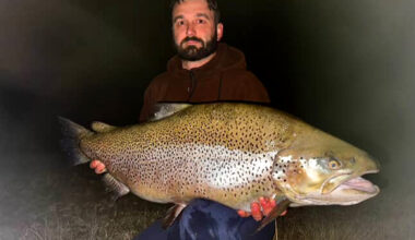 Beast of a Brown Trout Caught at Night in New Zealand Is a New World Record