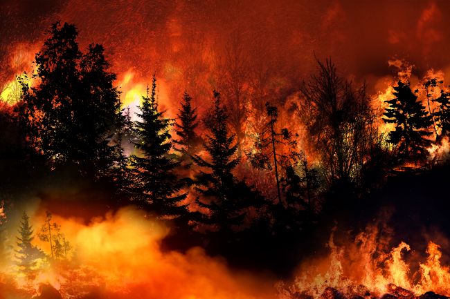 Spain on fire: 22 Great Fires registered this summer alone with a devastating August so far