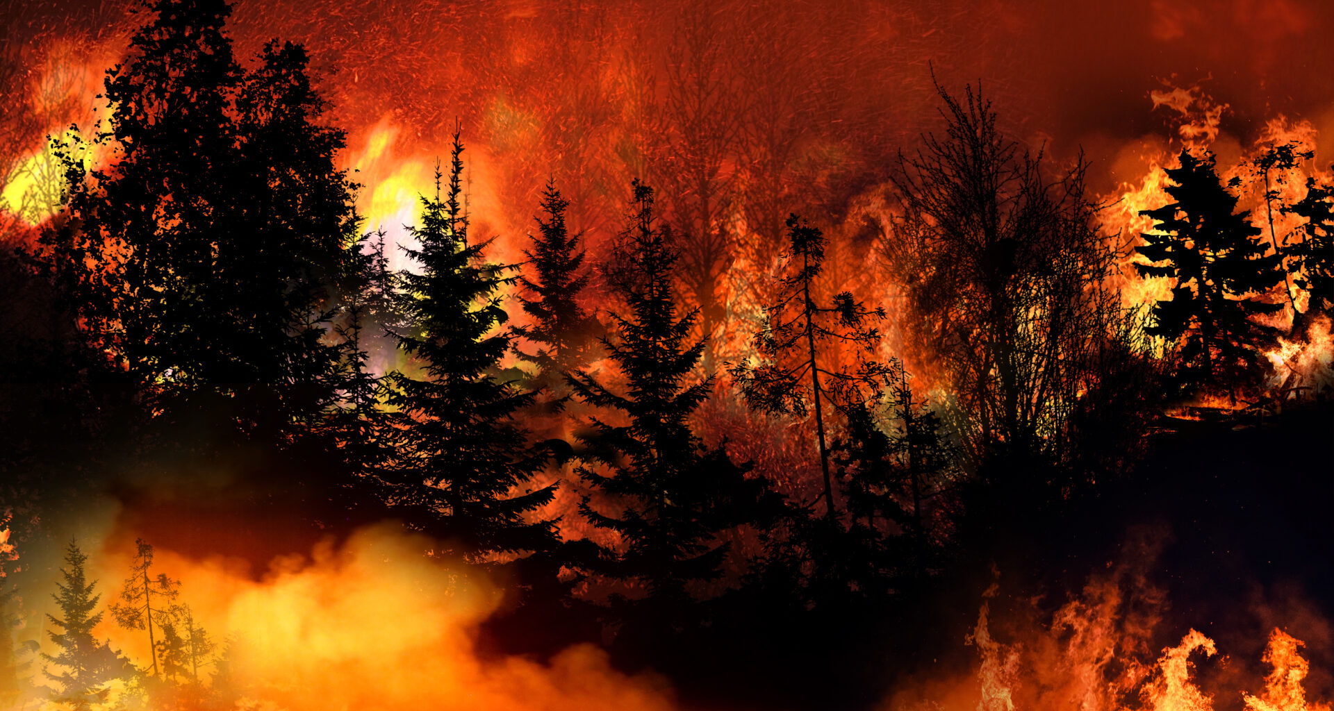 Spain on fire: 22 Great Fires registered this summer alone with a devastating August so far -