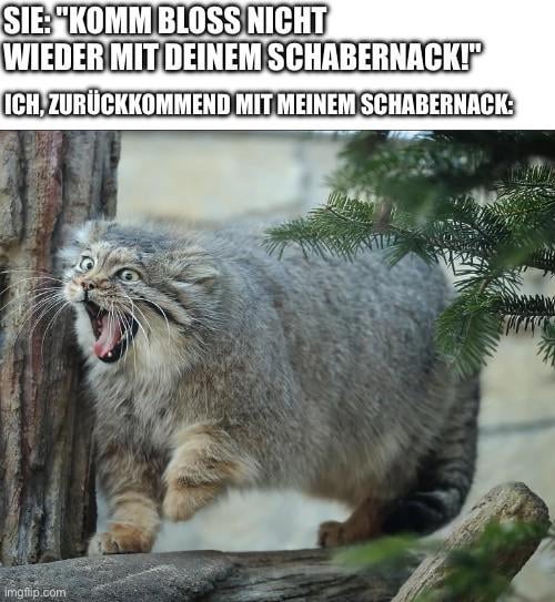 ich_iel