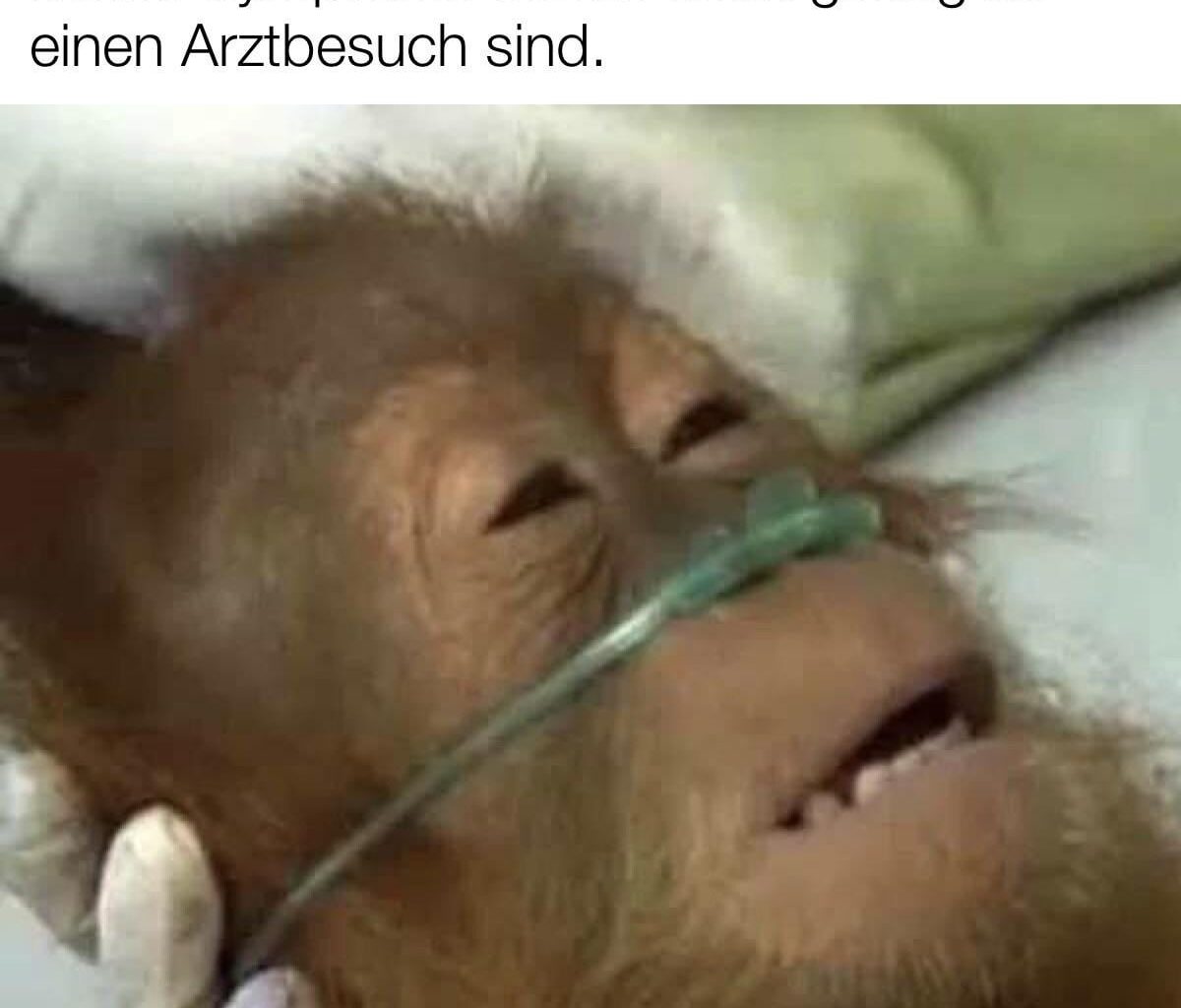 ich_iel