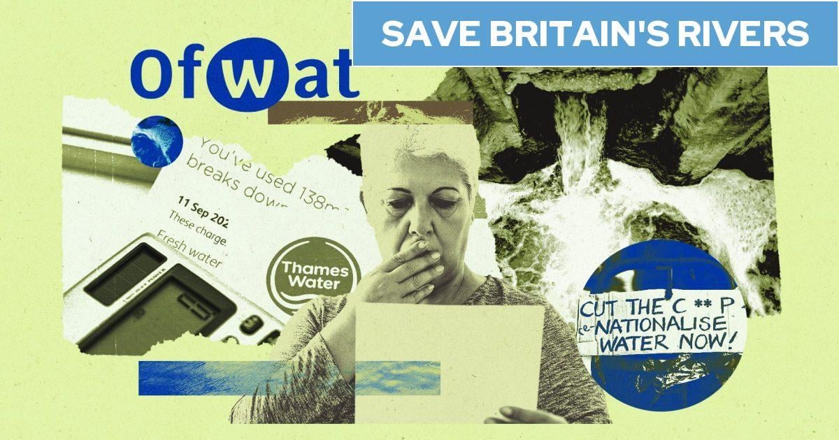 £22bn of water bill hikes will go to private investors - not cleaning up rivers