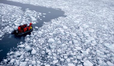 Antarctica is in extreme peril | "Abrupt changes" threaten to send the continent past the point of no return, a new study finds.