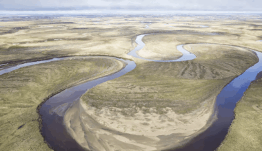 Trump administration seeks to revoke limits on oil drilling in parts of Alaska’s North Slope