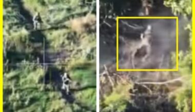 Attacked brazenly and boldly but then ran away on all fours. Ukrainian intelligence tracked down and carried out a precise strike on Russian infantrymen