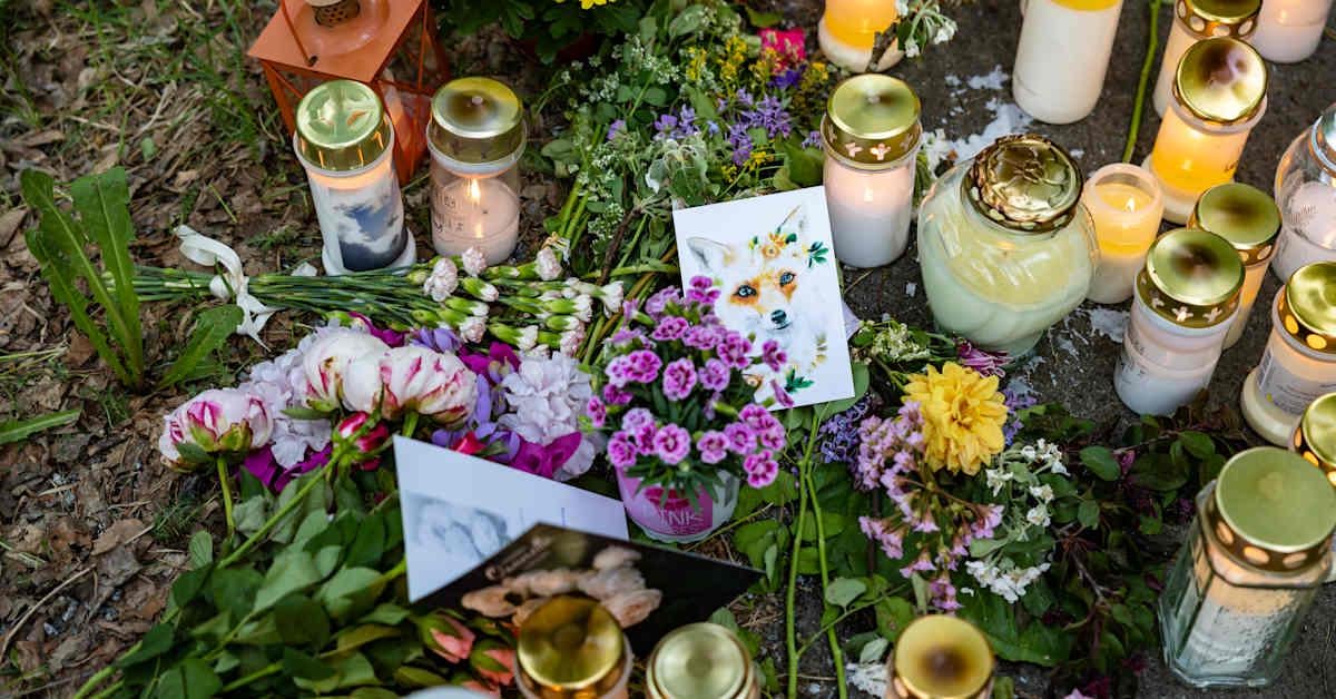 Friday's papers: Working for nothing | Yle News